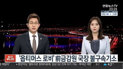 '옵티머스 로비' 前금감원 국장 불구속기소