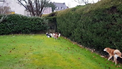 Le lendemain matin au jardin