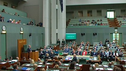 Anthony Albanese to unveil refreshed shadow cabinet