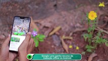 Google Lens ganha recurso de tradução offline no Android