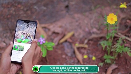 Google Lens ganha recurso de tradução offline no Android