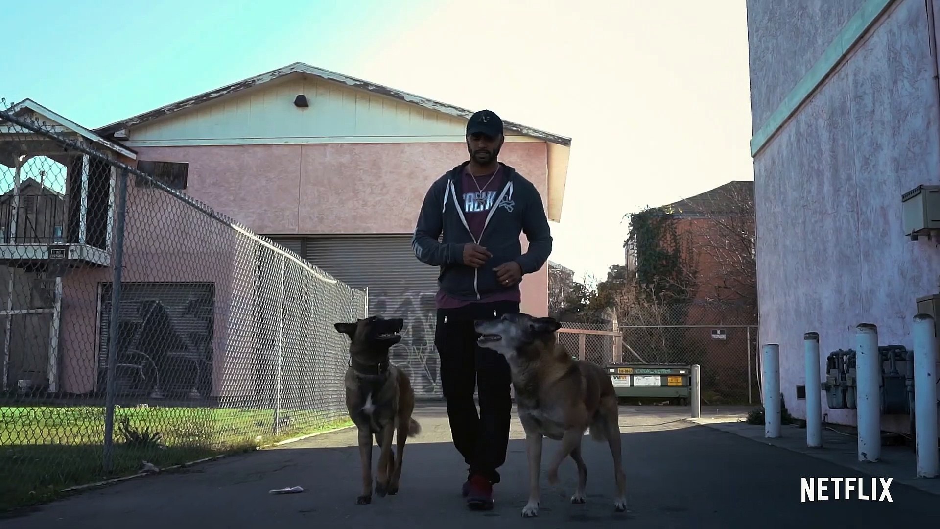 Canine Intervention Season 1 Video Dailymotion