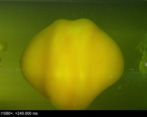 An experiment on yellow eggs shows just how much damage the brain can suffer if it collides
