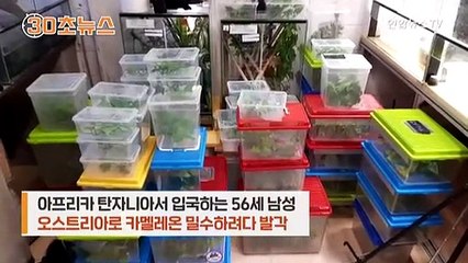 [30초뉴스] 양말 속에 숨겨 들여온 카멜레온…공항 엑스레이에 딱 걸려