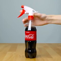 24 LIFE HACKS WITH COCA COLA