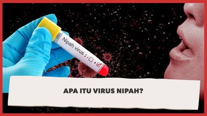 Belum Selesai Pandemi, Apa Itu Virus Nipah?