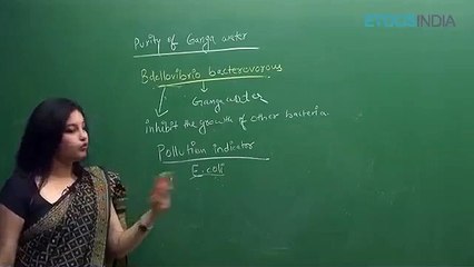 Biological Clasification by sb mam_2 Biological classification sb mam part 8(0)