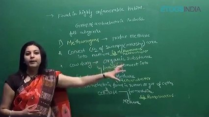 Biological Clasification by sb mam_2 Biological classification sb mam part 10(0)