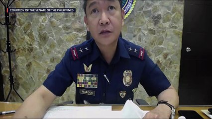 Too busy for Senate? Sinas skips probe into killings