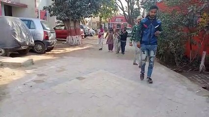 शामली: मामूली विवाद को लेकर महिला के साथ युवक ने की मारपीट घायल