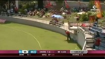 chris gayle 175 in 66 balls highlights