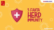 Videografis: 5 Fakta Herd Immunity