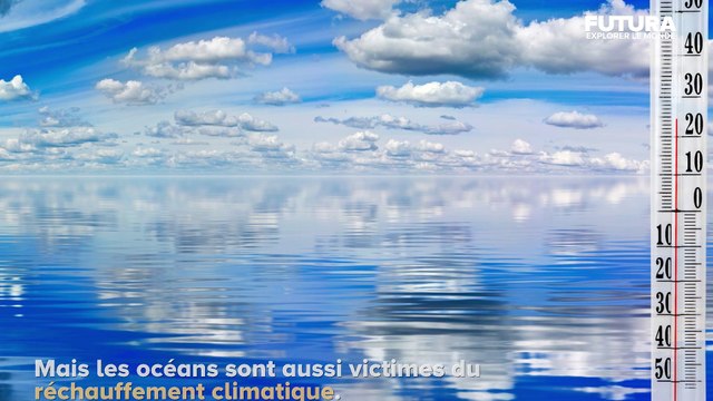 Doit-on s'inquiéter du réchauffement des océans ? | Futura