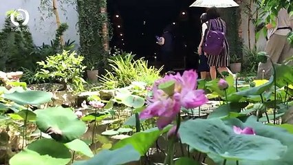 Viện dinh dưỡng quốc gia thăm Trầm Tuệ_- Social