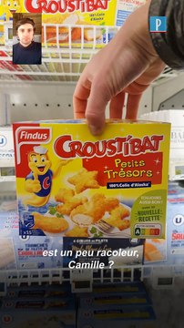Quelle est la vraie quantité de poisson dans les poissons panés Croustibat ?
