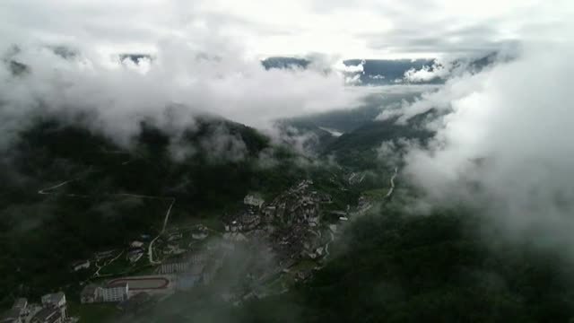 Una cámara de infrarrojos graba un oso panda gigante en una reserva natural de China
