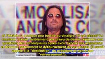 VIDEO TPMP - les internautes sidérés par l'attitude de Francis Lalanne, ingérable en plateau - Voici