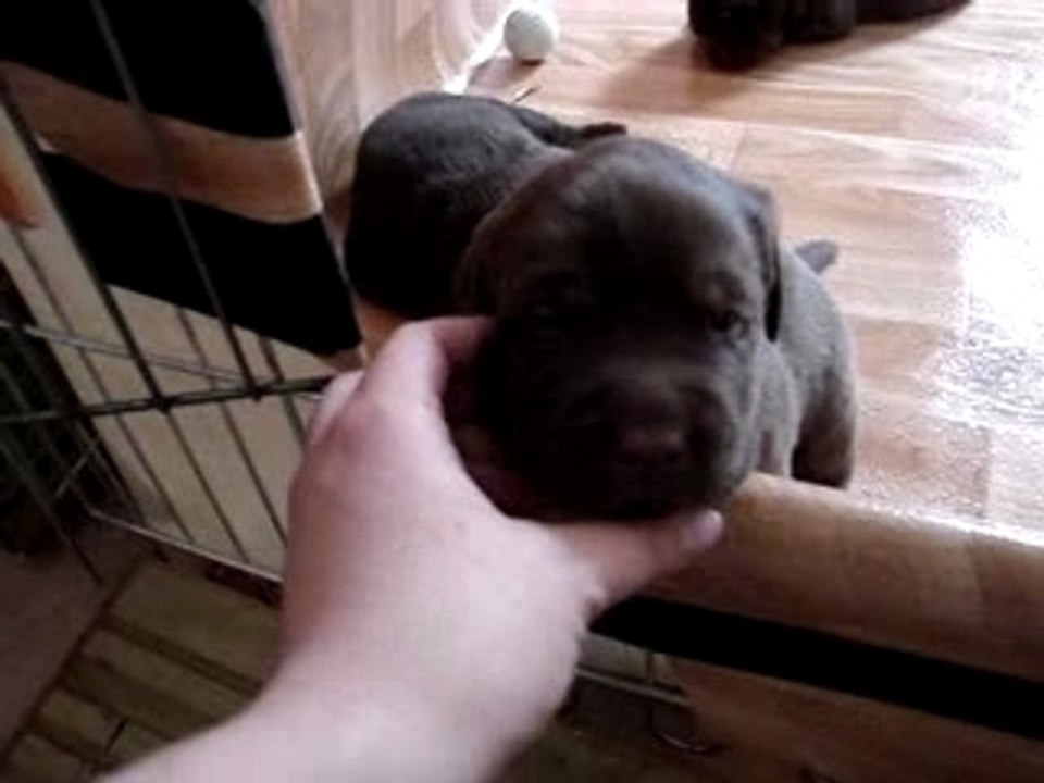 Rencontre avec Duddy