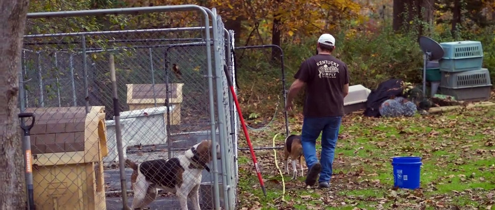 GPS DOG TRACKING COLLAR _ NEW DOGTRA PATHFINDER SE KIT FEAT. CAT® S61 PHONE #dogtra #gpstracking