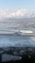Frozen Dal-Lake Kashmir