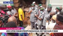 Apapa customs intercepts pangolin scales, Ivory tusks valued at N952BN