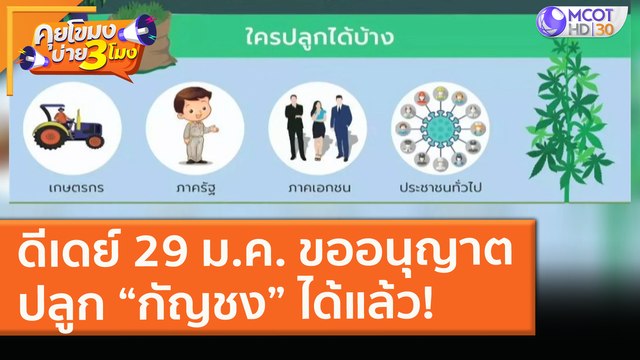 ดีเดย์ 29 ม.ค. ขออนุญาตปลูก “กัญชง” ได้แล้ว! (28 ม.ค. 64) คุยโขมงบ่าย 3 โมง | 9 MCOT HD