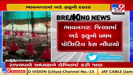 Bhavnagar reports first bird flu case _ TV9News