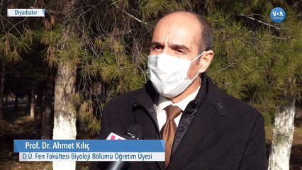 Küresel Isınma Leylekleri Göçettirmedi