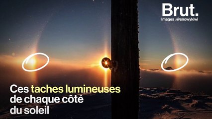 Souvent pris pour des OVNI, connaissez-vous les "chiens du soleil" ?