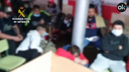 Disuelven pelea de gallos con casi 90 personas sin normas covid y que portaban drogas y armas