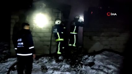 At ve yavrusunu ısıtmak için yaktığı ateş 385 bin TL’ye mal oldu