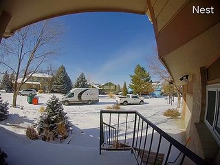 Delivery Driver Forgets to Put Van in Park