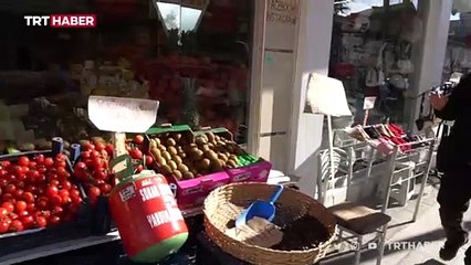 İş yerinin önüne koyduğu kumbara sokak hayvanlarına derman oldu