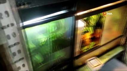 İstanbul’da “Canlı Hayvan Kaçakçılığı” operasyonu