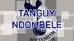 Tanguy Ndombele - From Zero to Hero