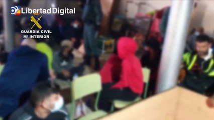 Disuelven una pelea ilegal de gallos con 90 personas con armas, drogas y sin mascarilla