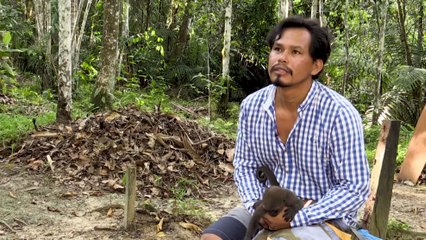 Líder de una comunidad indígena cuida a monos huérfanos, víctimas de la cacería ilegal