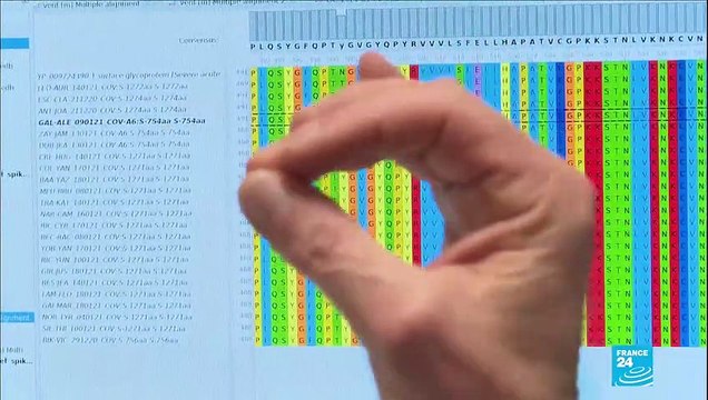 French curfew not sufficient to curb spread of coronavirus, variant