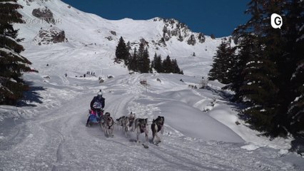 VOYONS VOIR - 28 JANVIER 2021