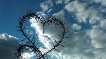 Heart Shaped of Plant and Birds Flying