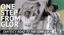 One step from glory - Santos's road to the Copa Libertadores final