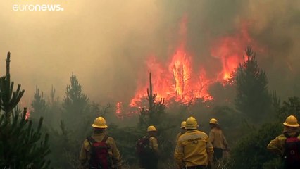 El incendio en la Patagonia argentina arrasa al menos 8000 hectáreas