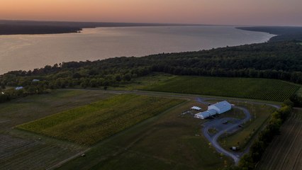 The Best New York Wineries, From Brooklyn to the Finger Lakes