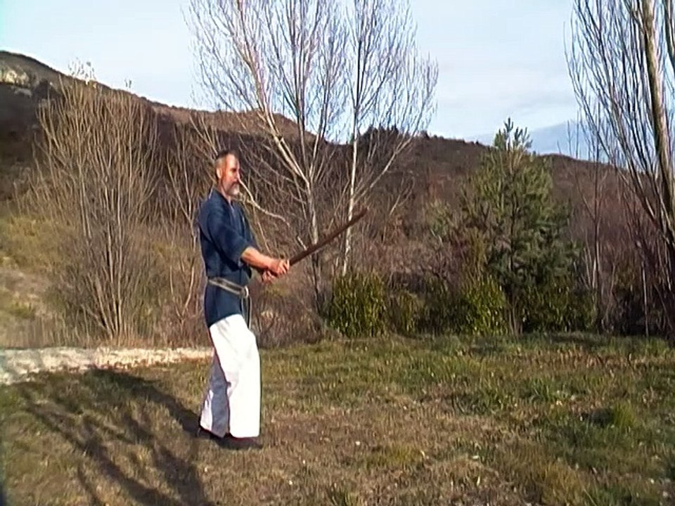 Ken kihon kumite omote