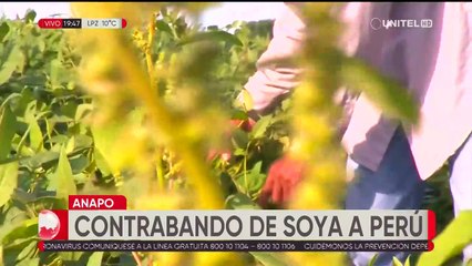 Productores y exportadores denuncian la presencia de un "mercado negro" de harina de soya