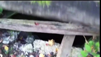 VIDEOS DE TERROR QUE NO TE DEJARAN DORMIR SI TE ASUSTAS PIERDES