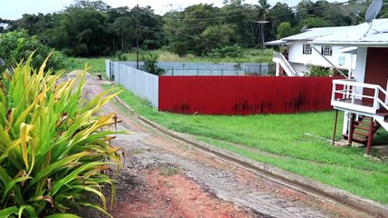 Boy Accuses Police Of Chopping Him