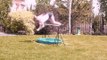 Girl Jumps Over Hurdle Like Horse