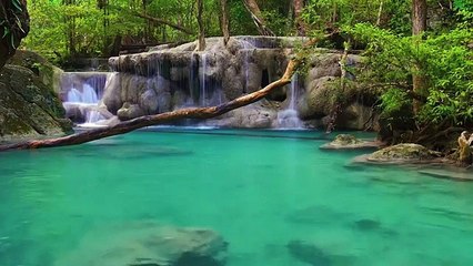 Musica ZEN  Para Relajarse, Dormir, Meditar , Para limpiar el Alma y Sanar el Espiritu