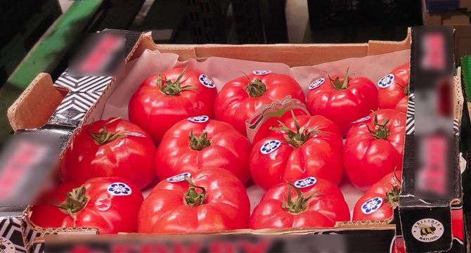 Domatesin fiyatı 10 kilometrede üç kat arttı